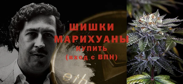 ECSTASY Балахна