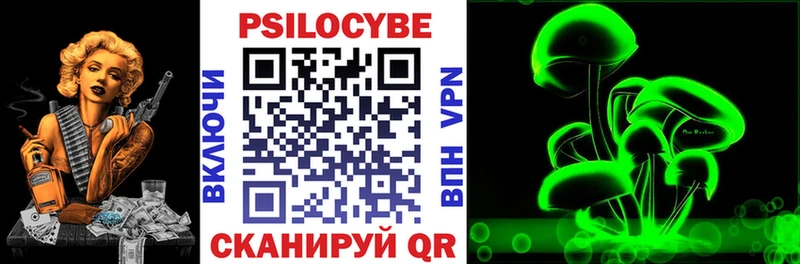 Псилоцибиновые грибы ЛСД  дарк нет какой сайт  Болгар  продажа наркотиков 